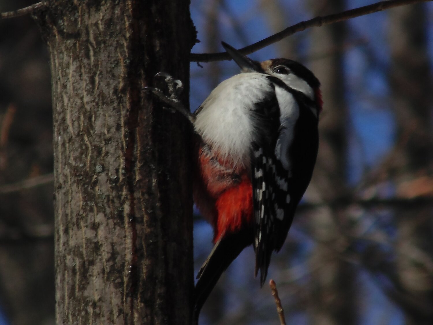 Photo #6767208