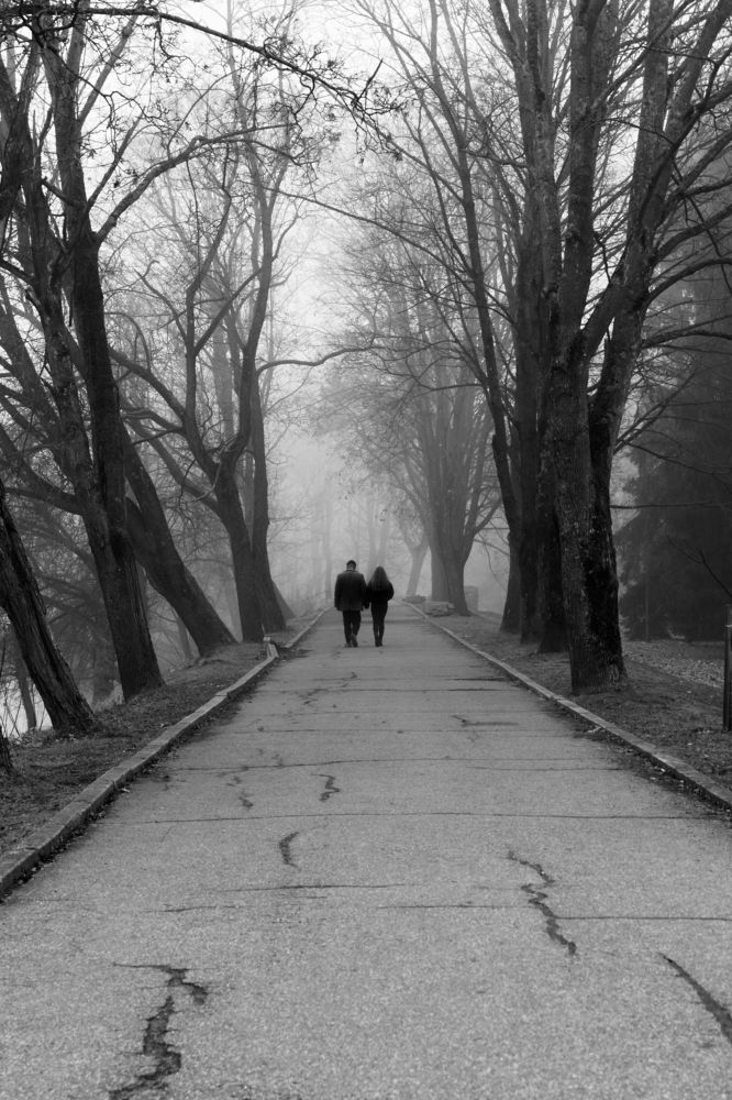 Photograph by Николай Савик