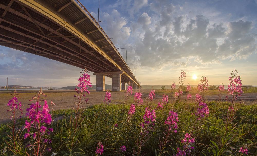 Photograph by Александр Воднев