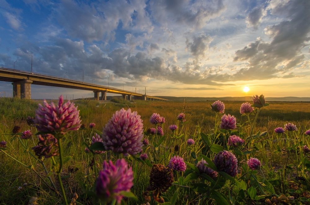 Photograph by Александр Воднев