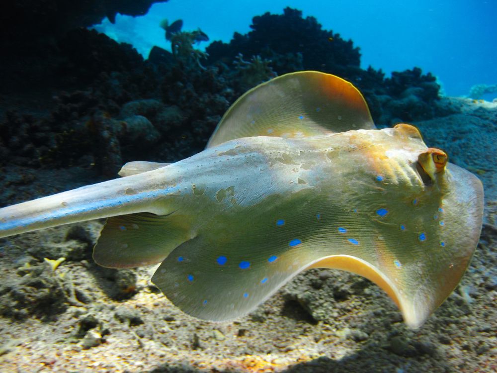 Photograph by Константин Осипов