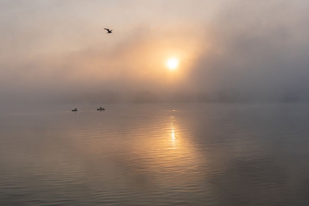 Утро на Дону