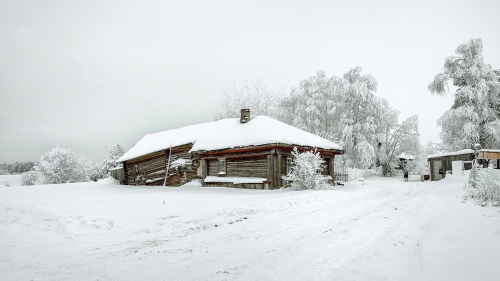 Photograph by Александр Никитинский