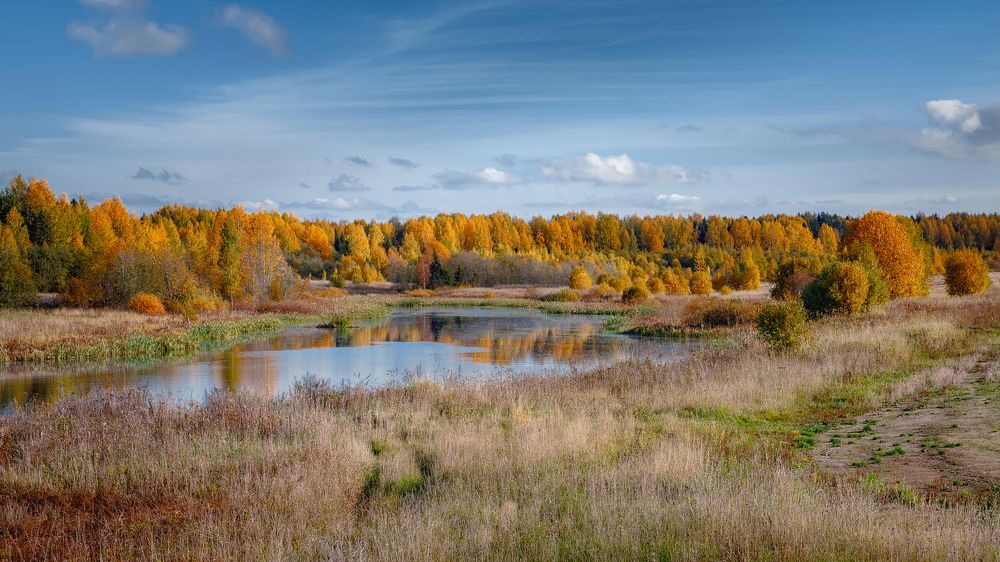 Photograph by Александр Никитинский