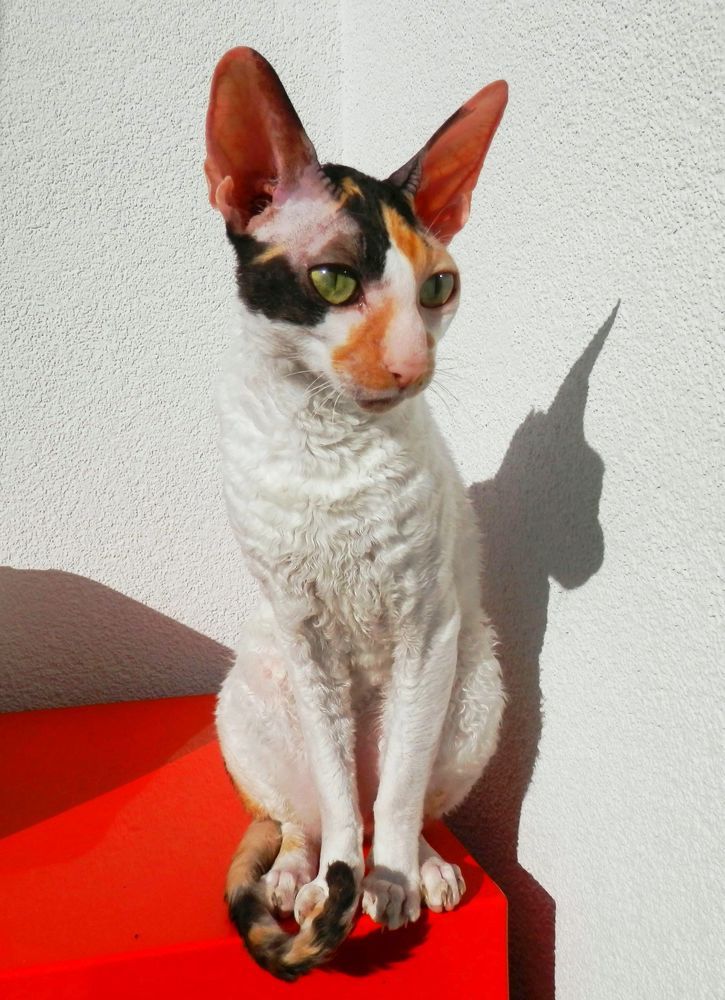 Photograph by Helena