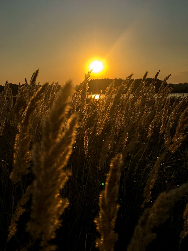 Photograph by Александр Вьюшков