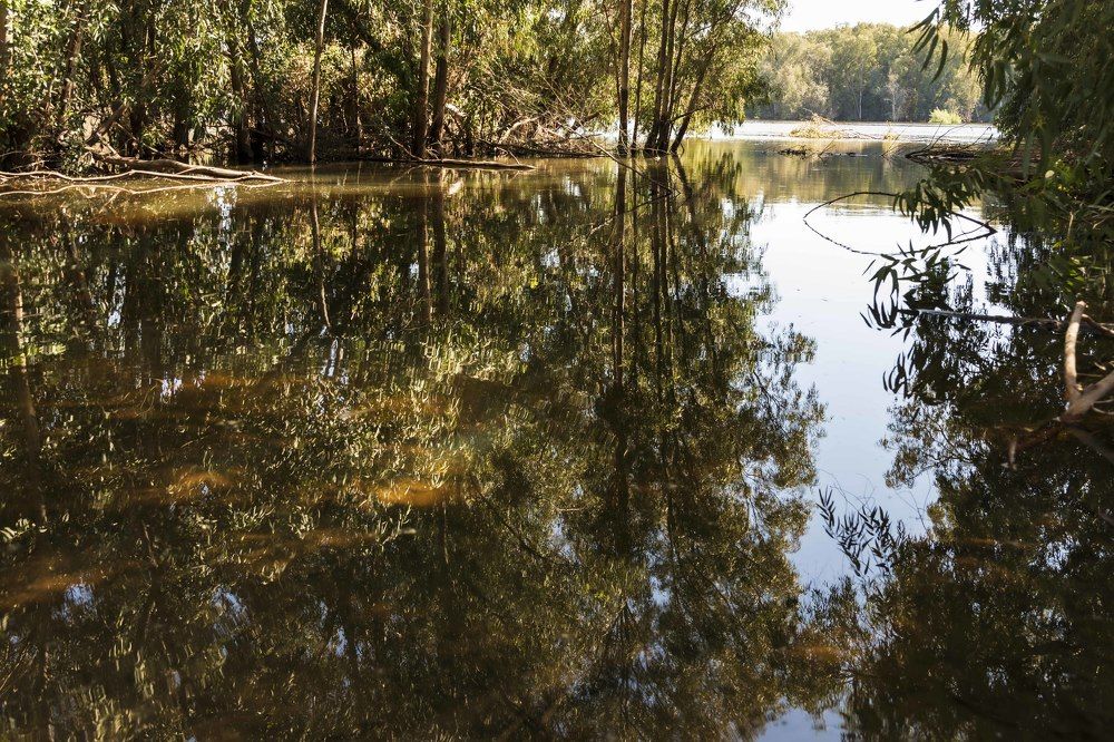 Photograph by klara Neikov