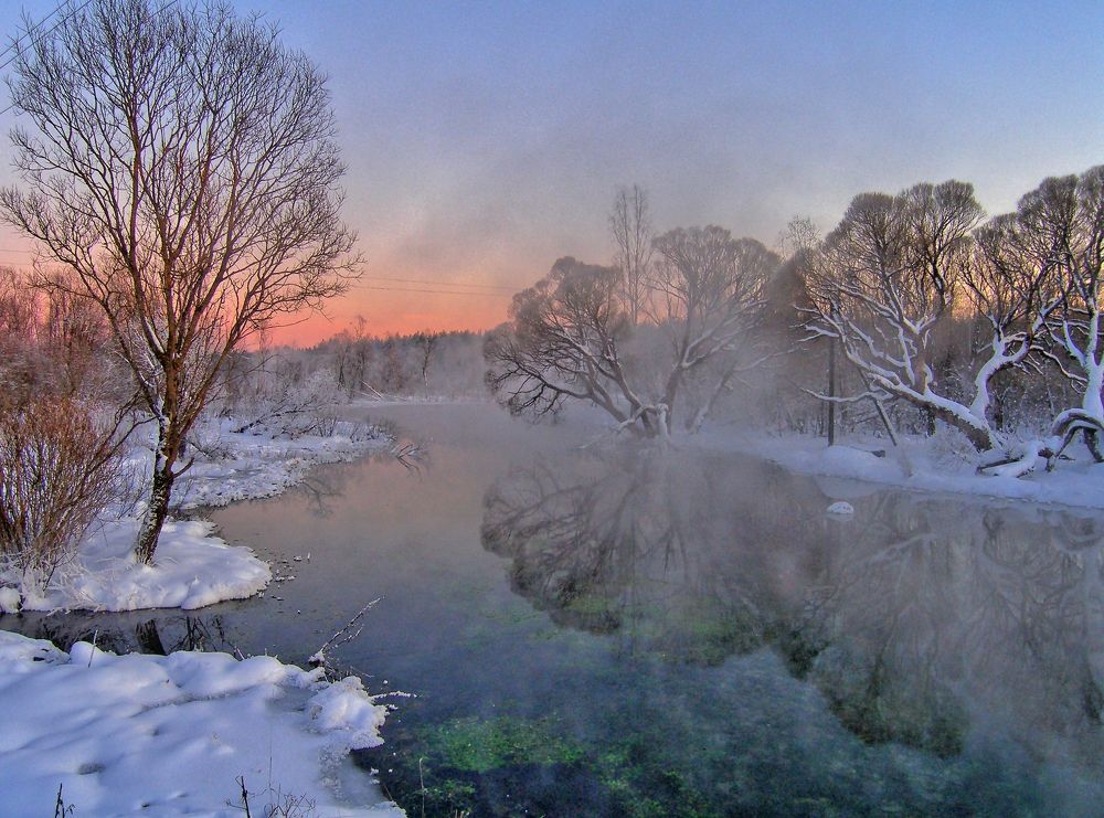 Photo #6767405