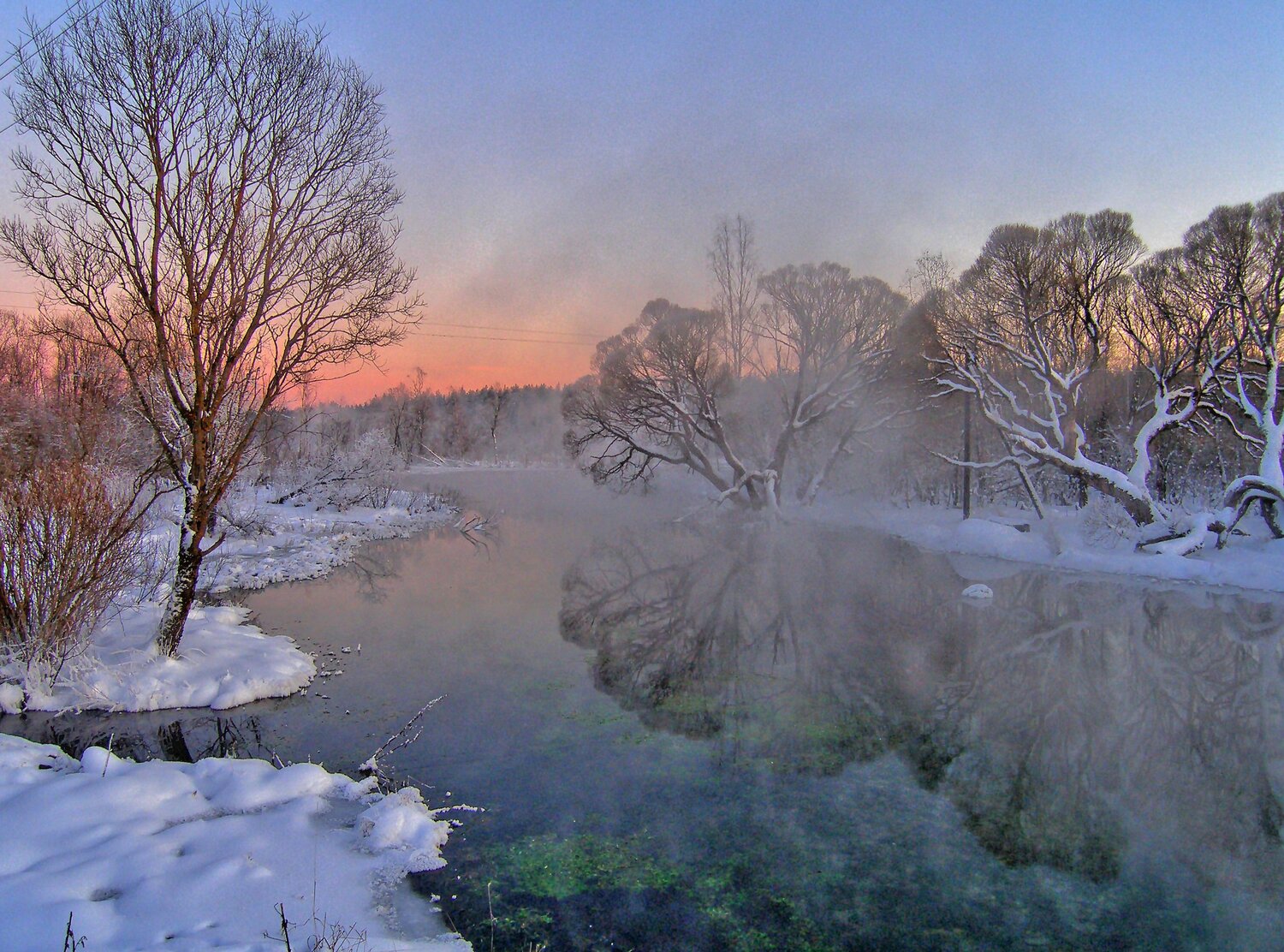 Photo #6767405