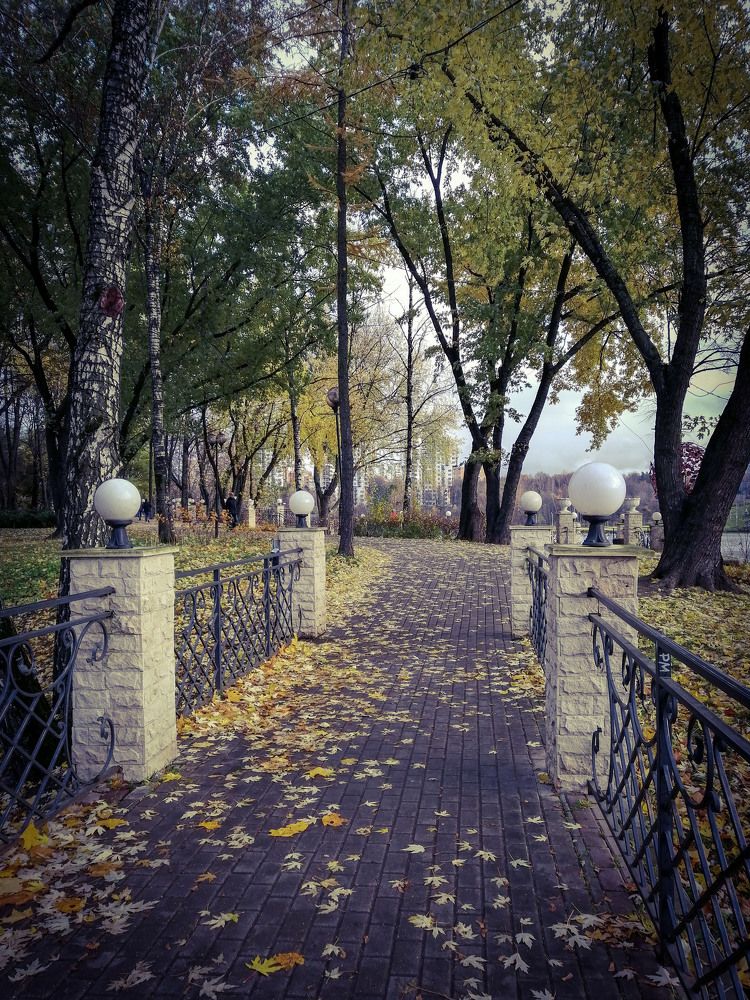 Мост в парке