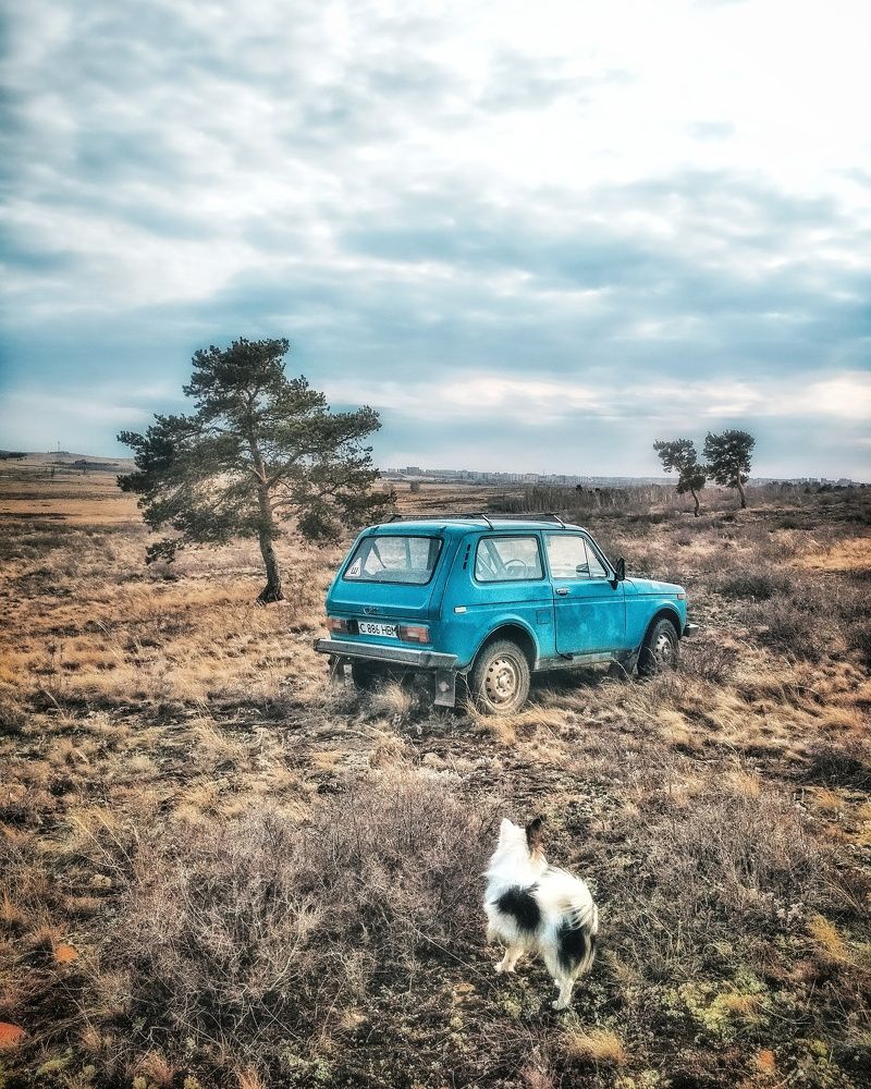 Фотография автора Марина