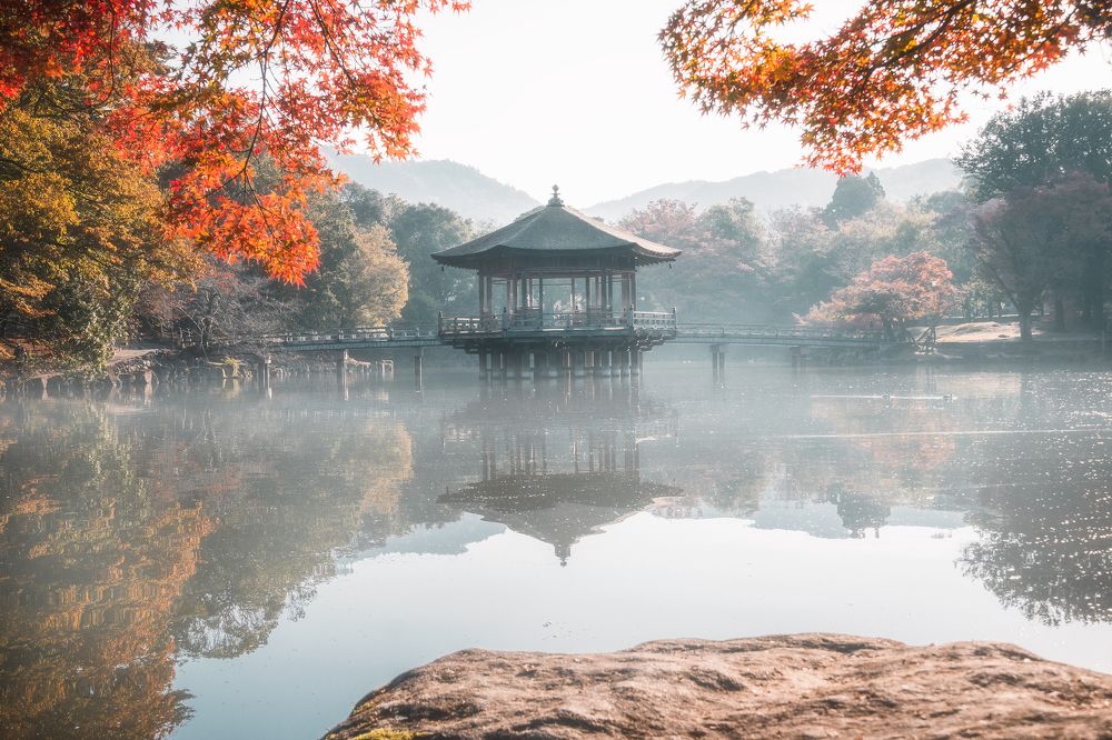 Photograph by Quan Vu