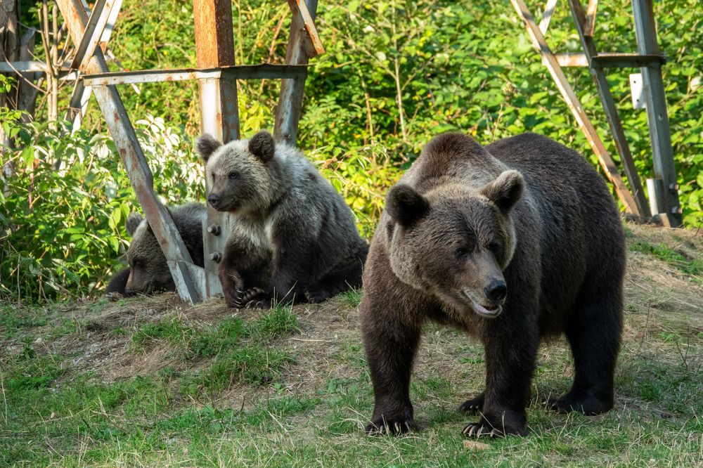 Photograph by Наталья Пирогова