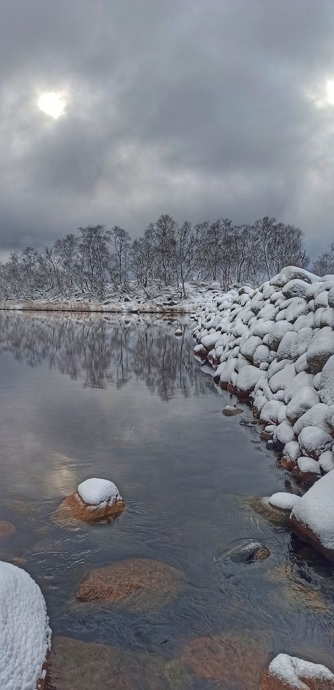 Фотография автора Алсуфьева Елена