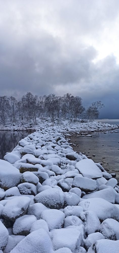 Фотография автора Алсуфьева Елена