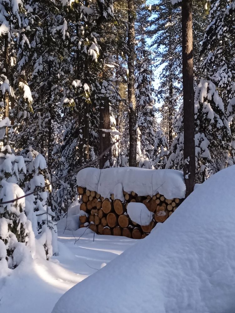 Photograph by Светлана Олина