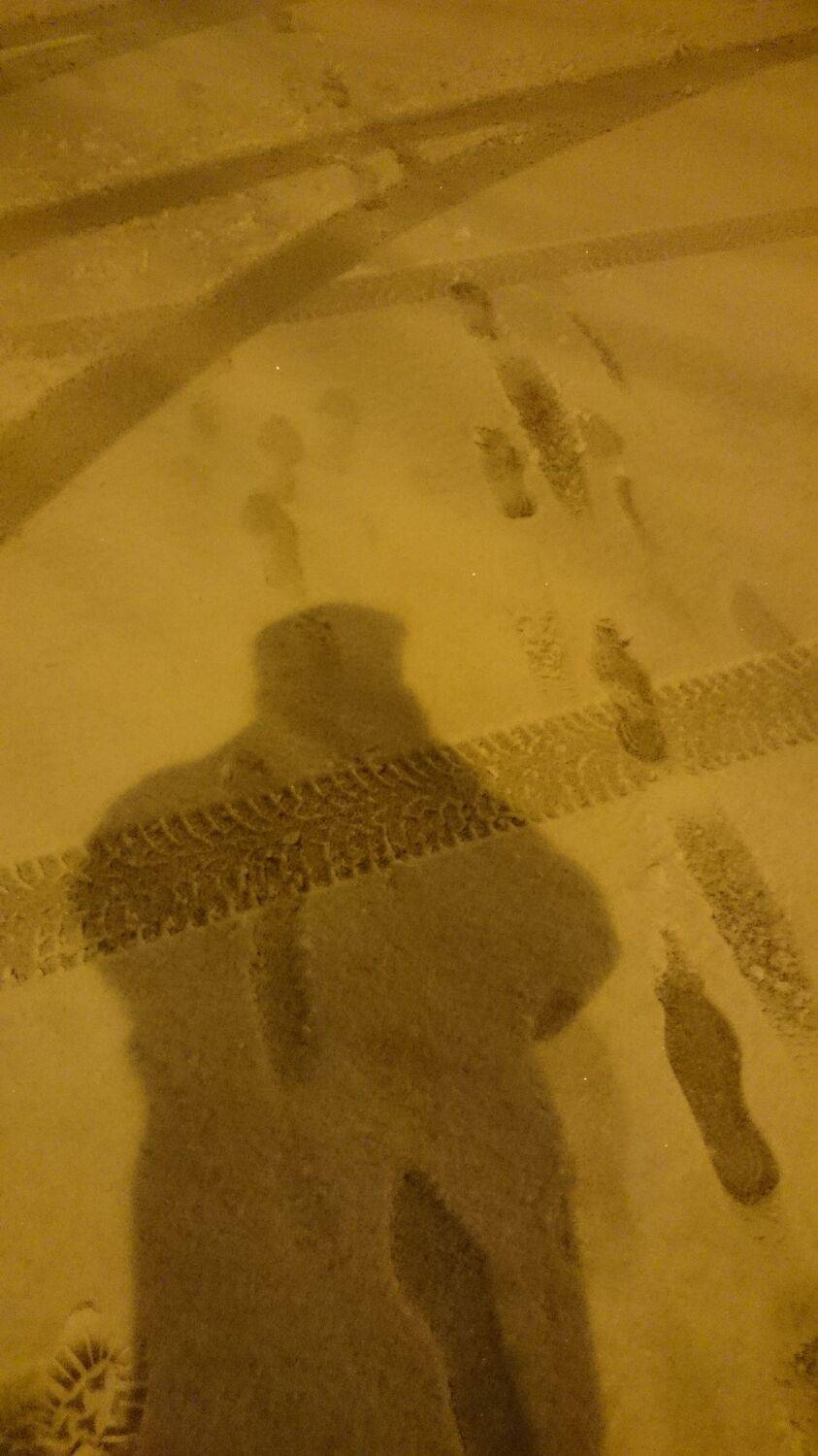 Photo #6767726