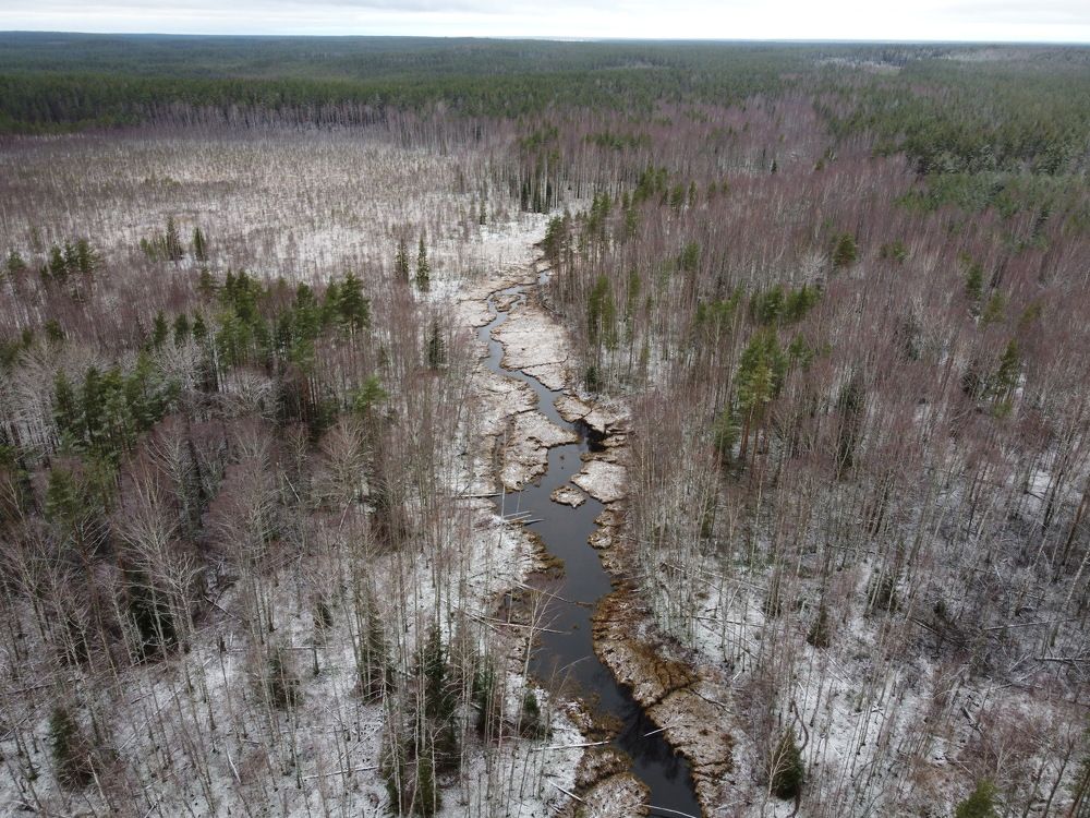 Photograph by Андрей Нурулин