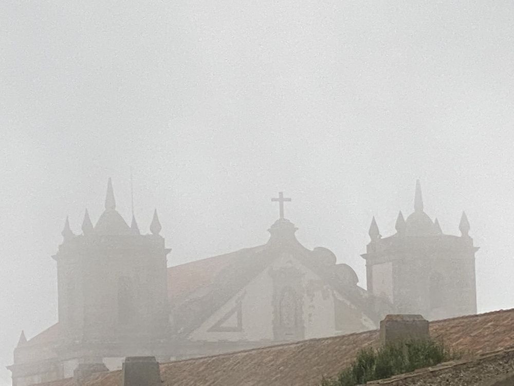 Photograph by Luís Damas