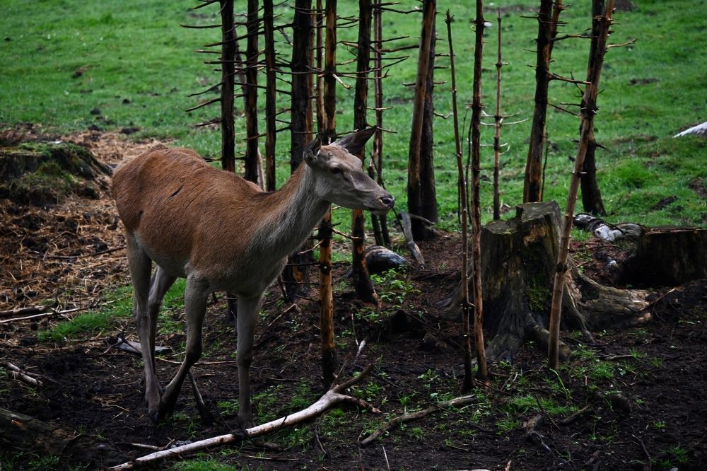 Photograph by Наталья Пирогова