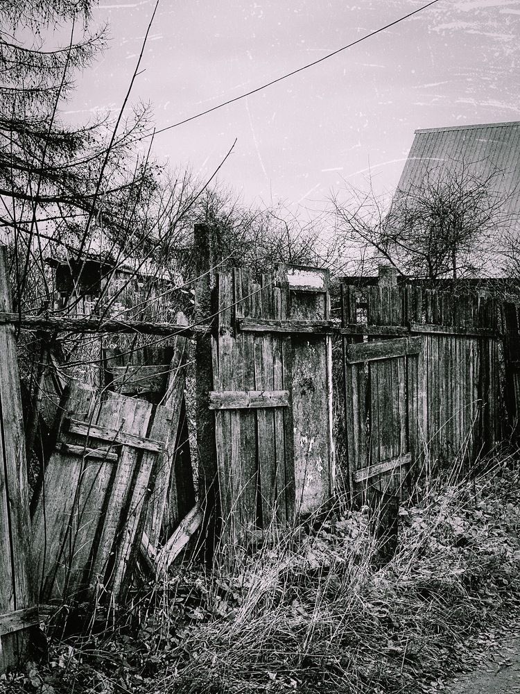 Photograph by Григорий Лыжин