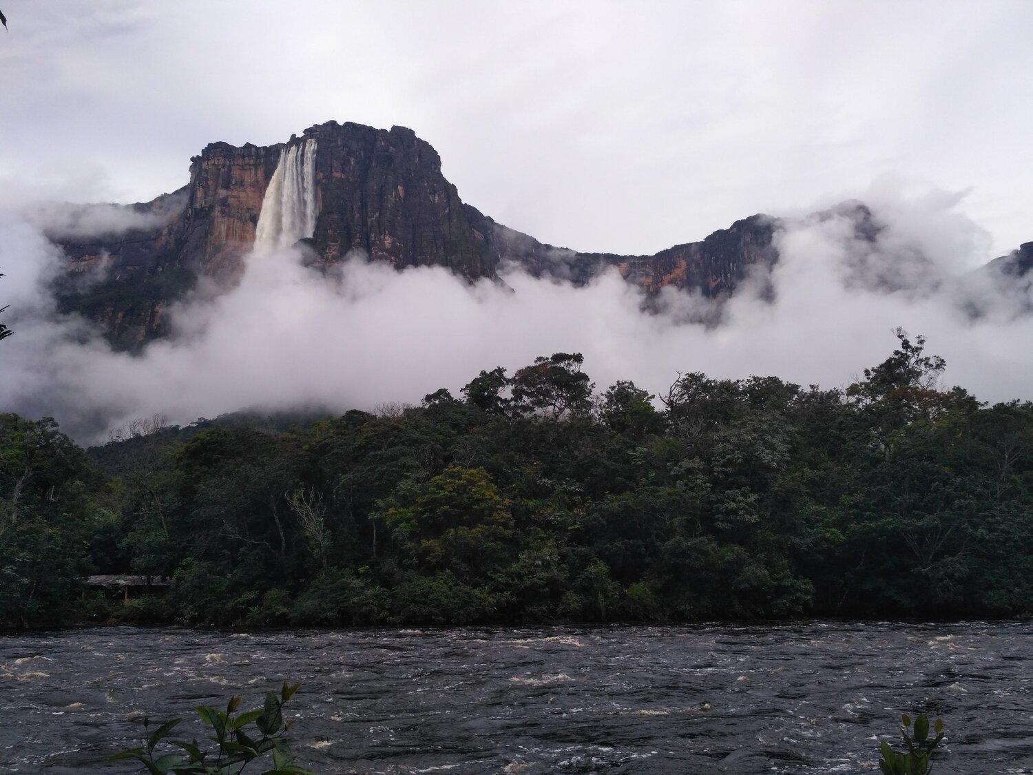 Photo #6767909