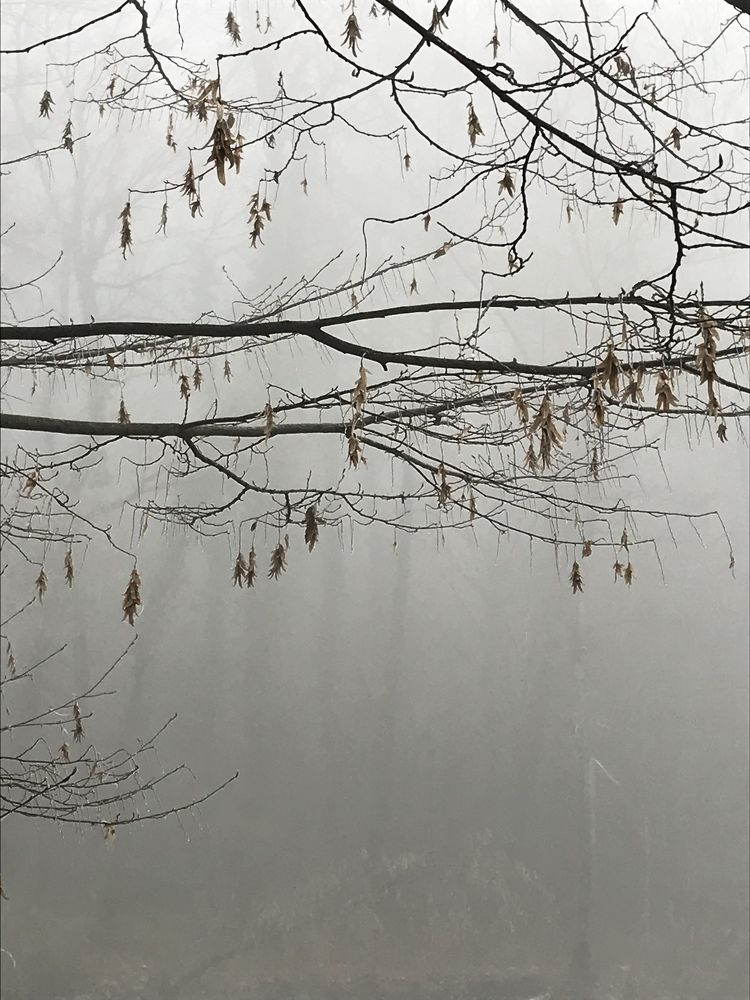 Photograph by Nunu Gambashidze