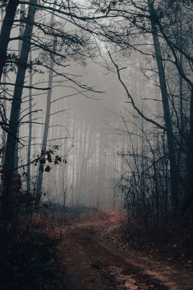 Photograph by Александр Казак