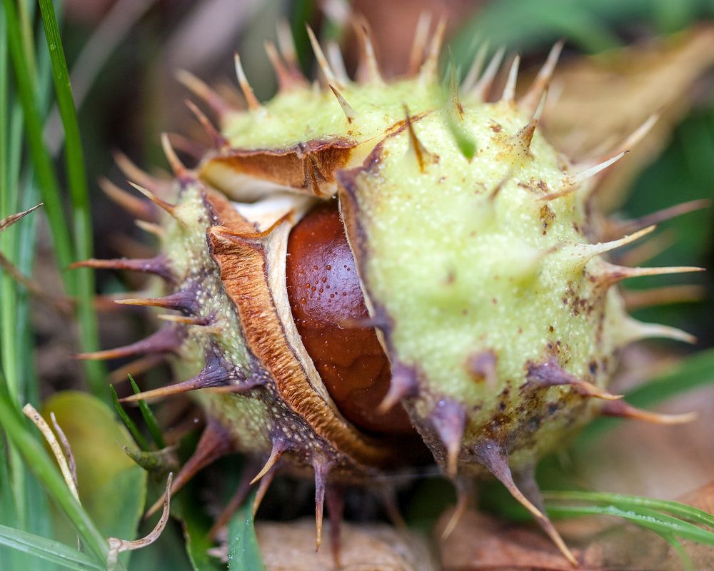 Фотография автора Екатерина Молодкина