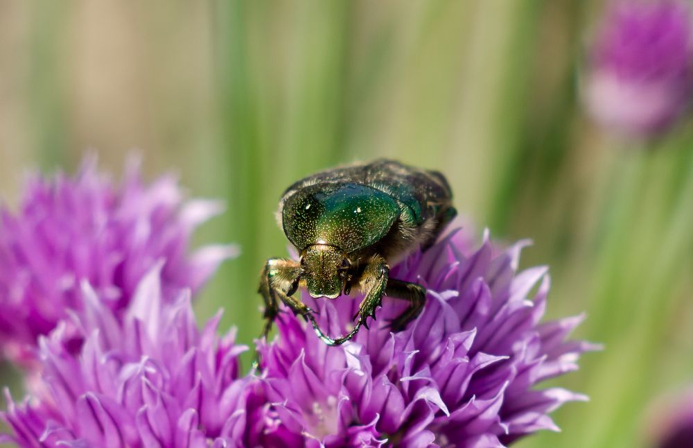 Photograph by Игорь Радионов