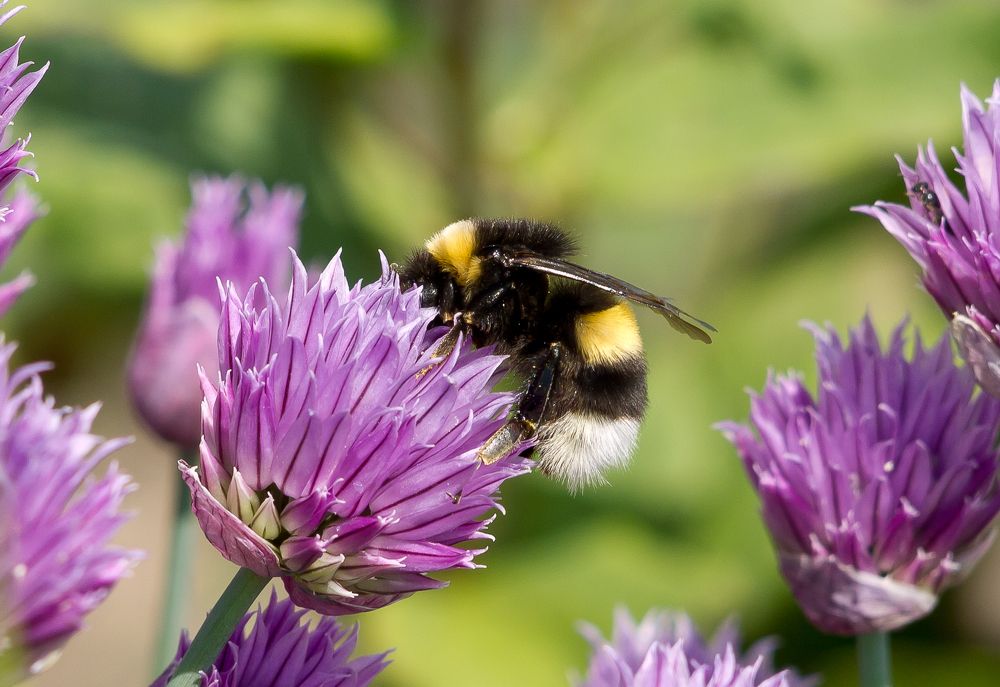 Photograph by Игорь Радионов