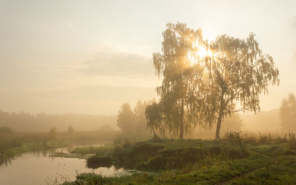 Фотография автора Ольга Бонина