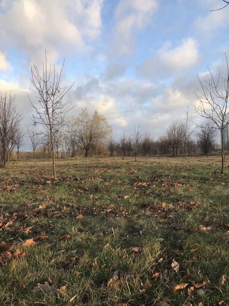 Photograph by Токарева Ирина