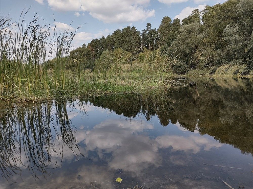 Photograph by Ольга