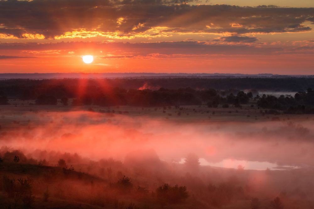 Photograph by Сергеев Сергей