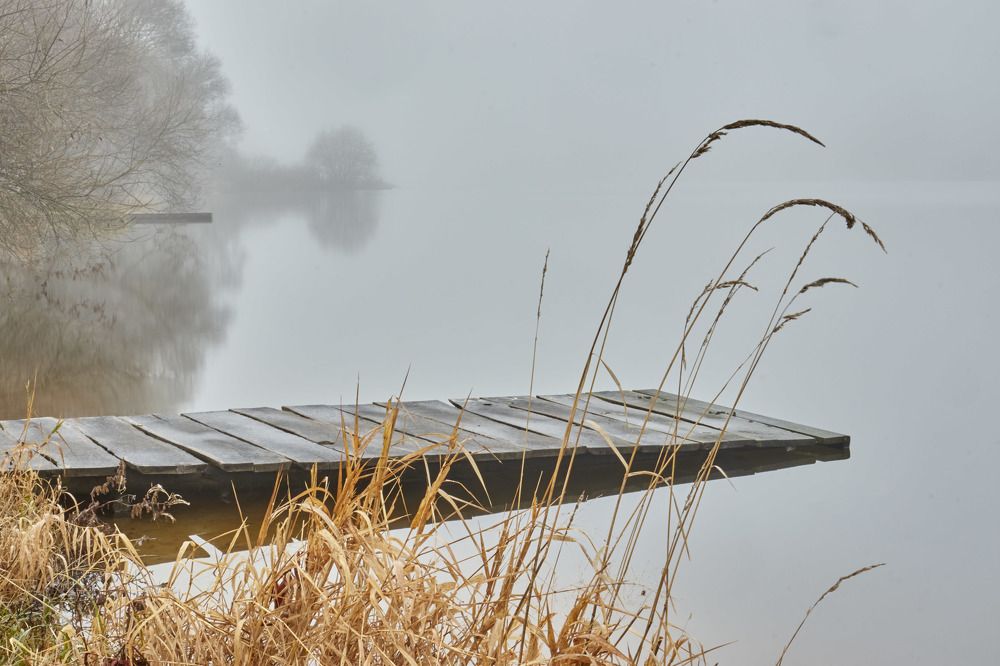 Photograph by Татьяна Полянская