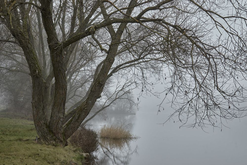 Photograph by Татьяна Полянская