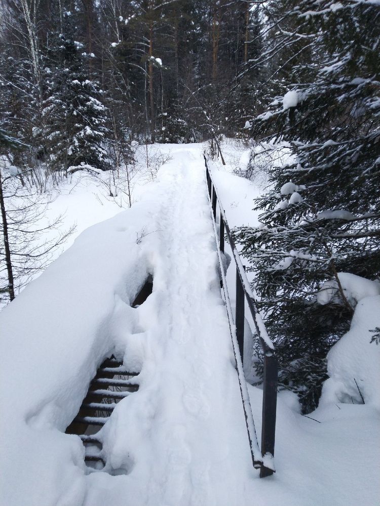 Photograph by Наталья Шулятина