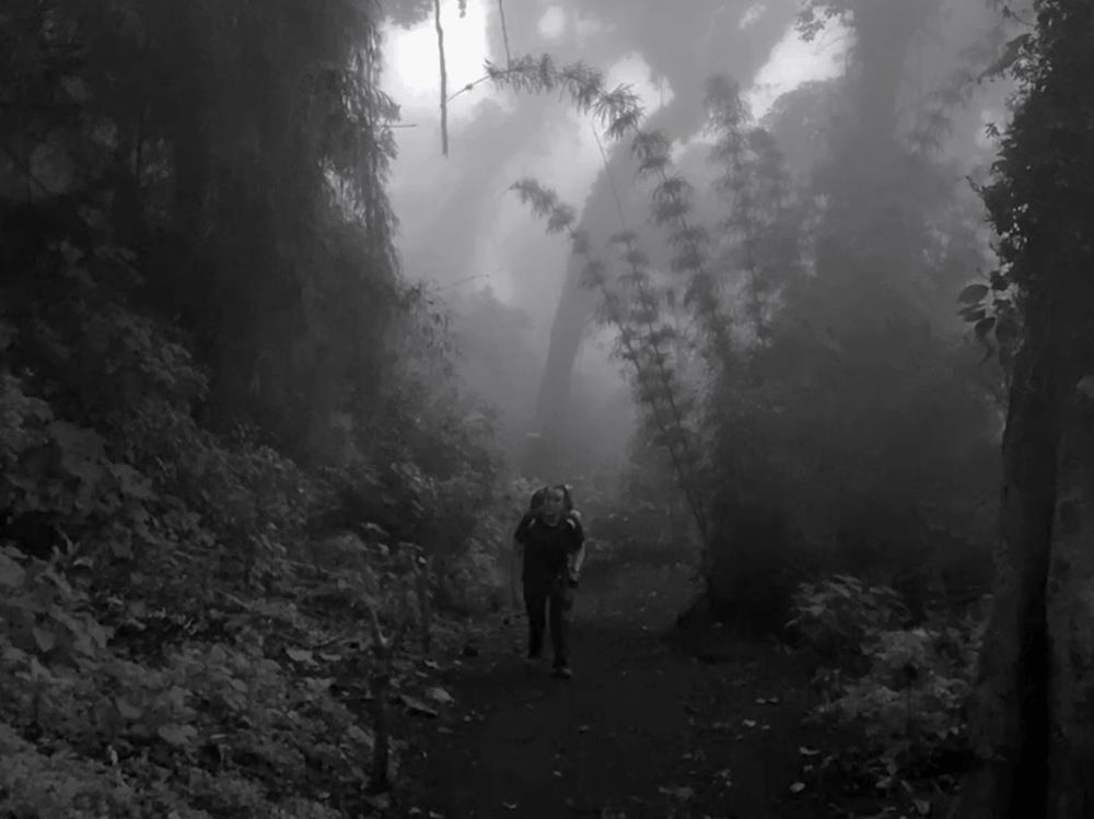 Photograph by Martin Najera