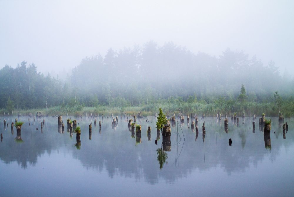 Photograph by Анатолий Буянов