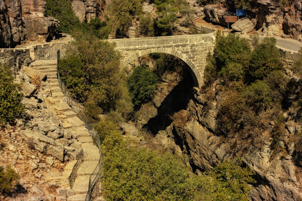 Photograph by Валерия Бахолдина