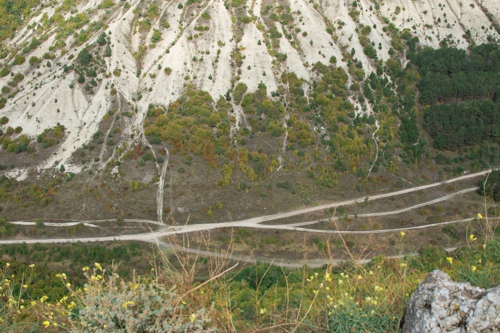 Photograph by Анастасия Широкова