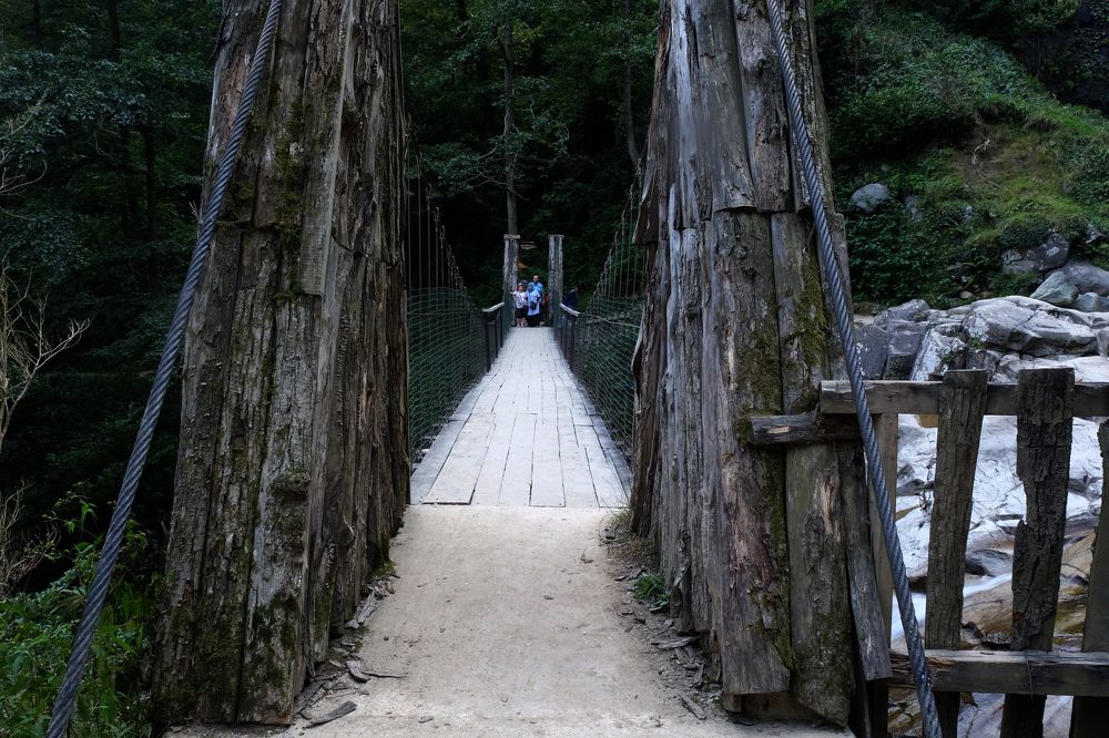 Photograph by Muzaffer Sütlüoğlu