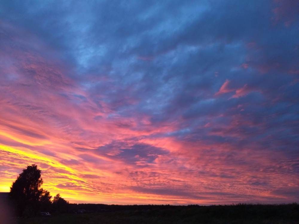 Photo #6768453