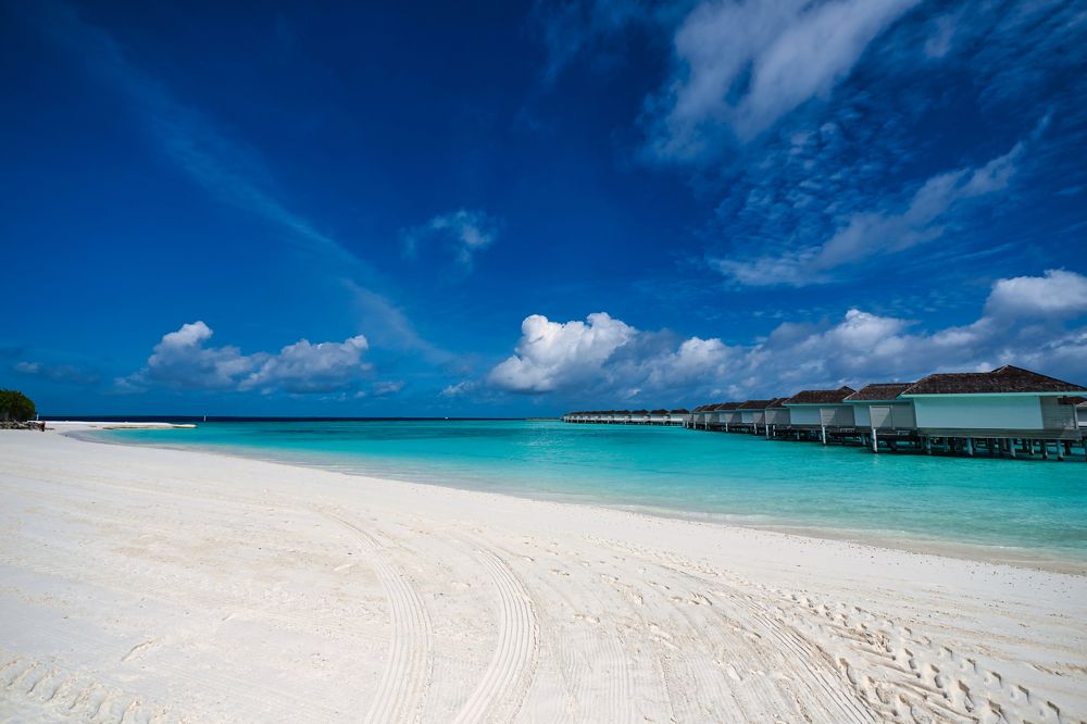 Photograph by Михаил Ноеренчук