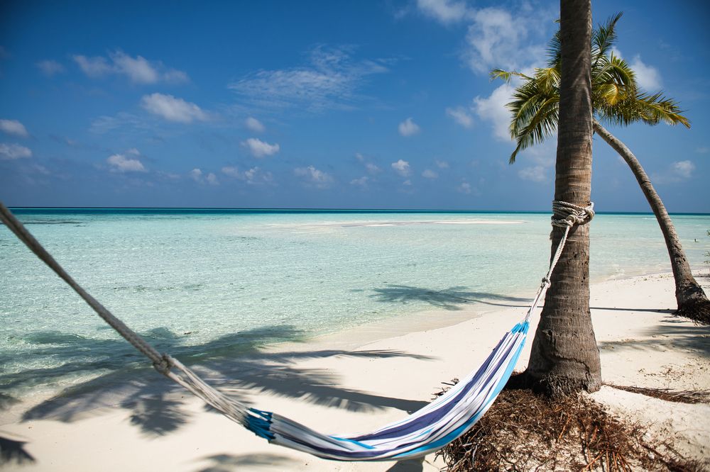 Photograph by Михаил Ноеренчук