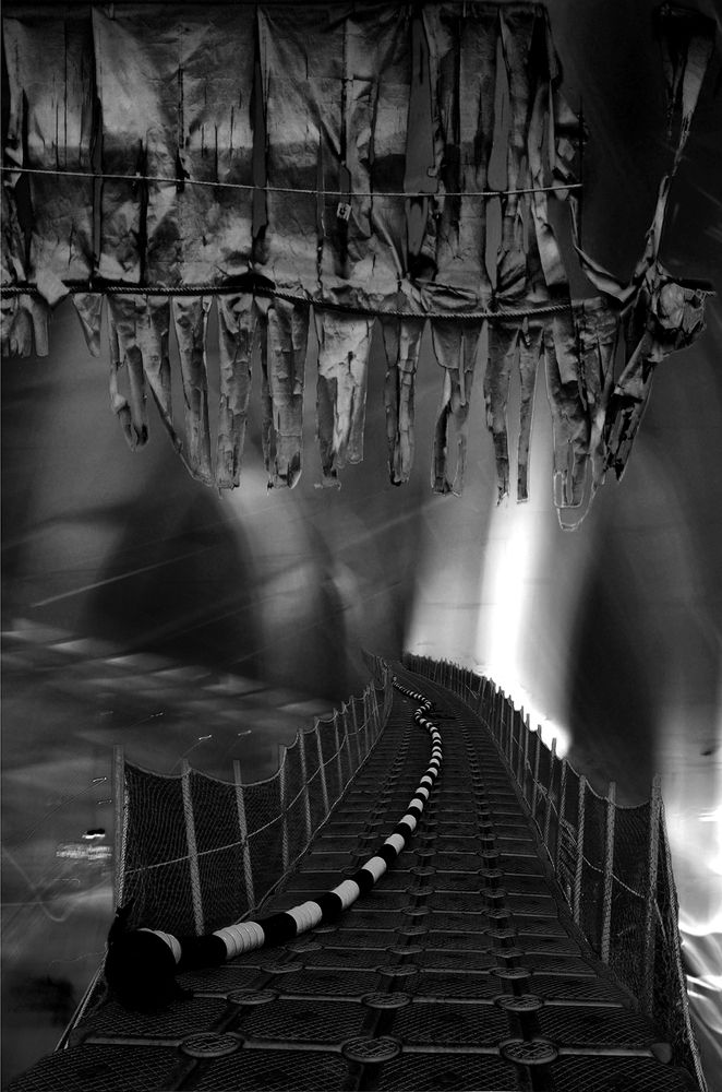 Photograph by Muzaffer Sütlüoğlu