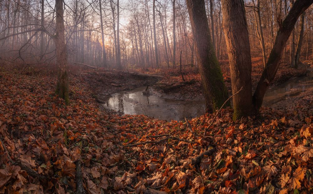 Photograph by Семён Кузнецов