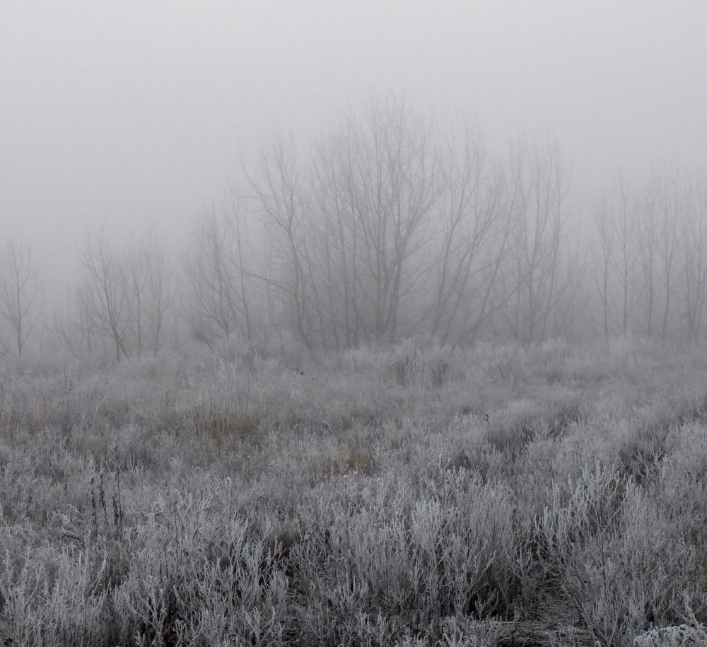 Photo #6768541