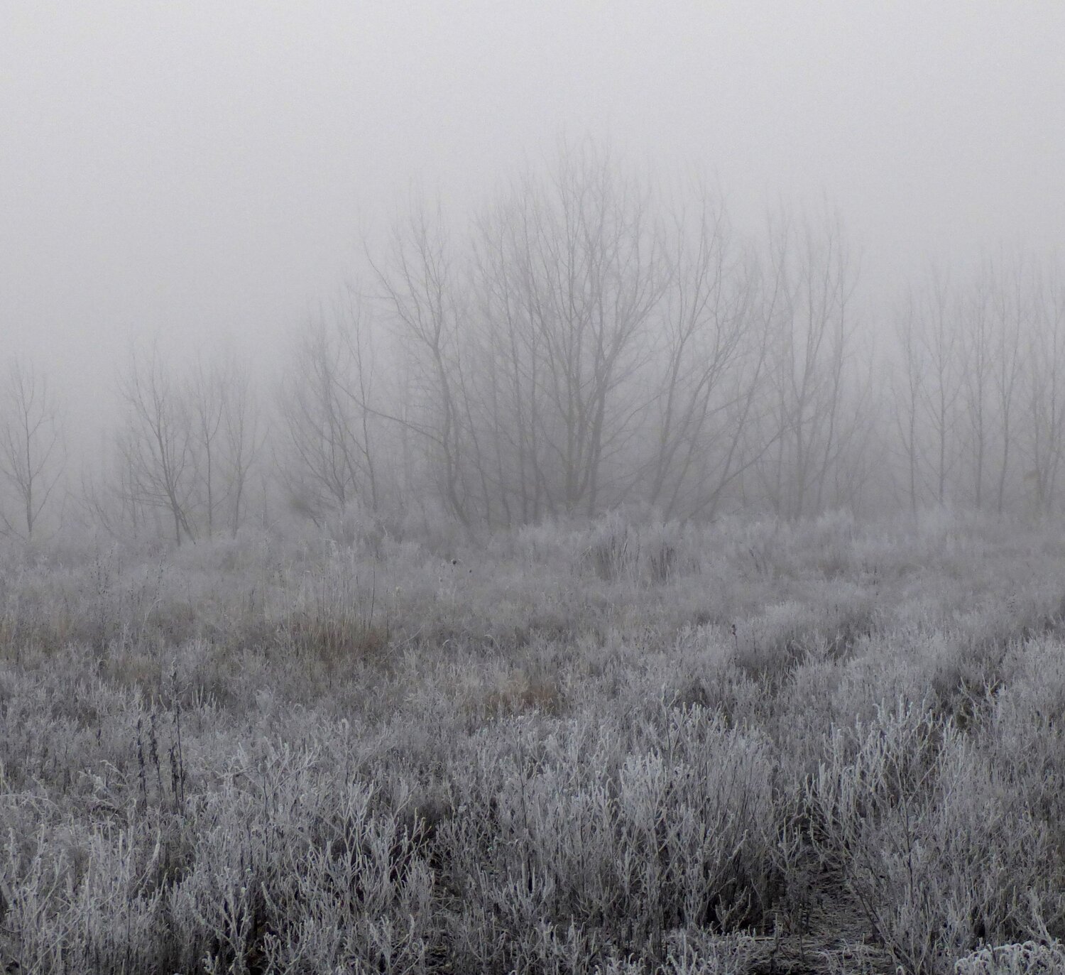 Photo #6768541